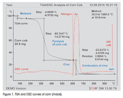 TGA and DSC curves of corn (maize)