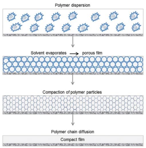 Figure 1. Film formation of a polymer dispersion. For details, see text.