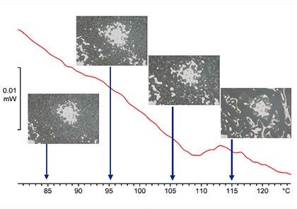 DSC-microscopy