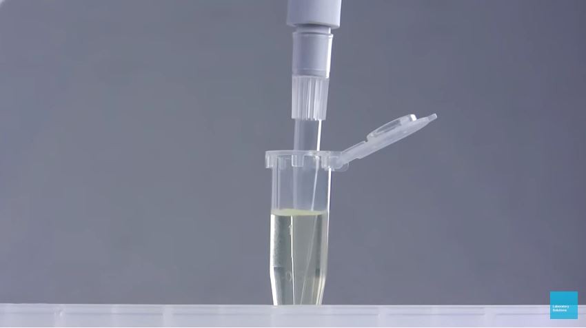 Pipette Tip Immersion - Good Pipetting Technique