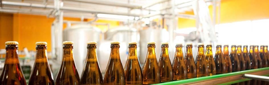 In-line Measurements in Beer Fermentation
