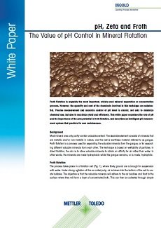 pH, zeta e schiuma: L’importanza di controllare il pH nella flottazione dei minerali