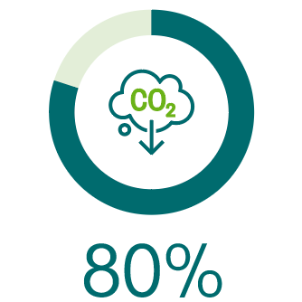 80 percent 80 percent