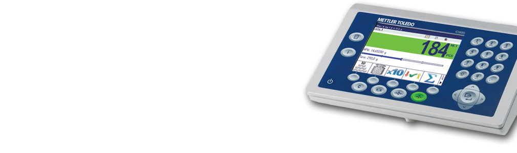 ICS6_5 Weighing Terminals