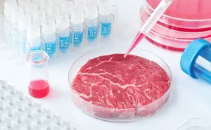 meat alternatives meat alternatives