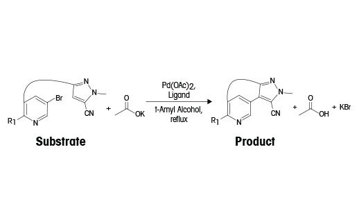 Échantillonnage de réactions chimiques