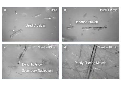 Formación de dendritas según la forma y el tamaño de los cristales