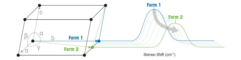 Polymorph Raman Spectroscopy