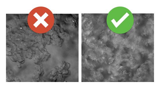 Inhibiting Hydrate Formation