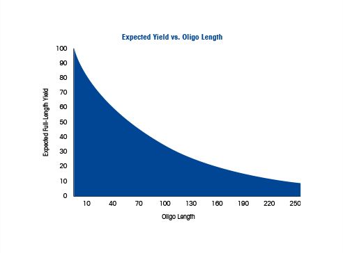 Oligonucleotide Length